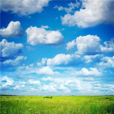 巴中房产网截图