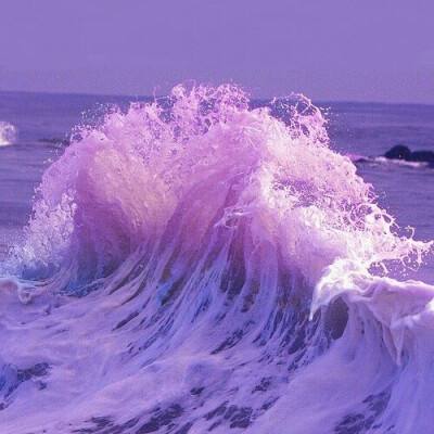 巴中房产网截图